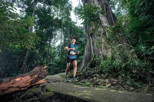 BIB: 
                            <button type="button" onclick="openModal(24809336)" class="btn btn-primary btn-sm float-right btn-popup" data-toggle="modal" data-target=".modal-high-quality">
                        <i class="fas fa-shopping-cart"></i> Add to Cart
                    </button>
                                            <button type="button" onclick="isThisMe(24809336, true)" class="btn btn-success btn-sm float-right btn-popup btn-isme hidden" data-toggle="tooltip" data-placement="bottom" title="นี่คือรูปของคุณใช่ไหม คลิกที่นี่เพื่อเอาเข้าอัลบั้ม">
                        <i class="fas fa-plus"></i> Add to album
                    </button>
                    <button type="button" onclick="isThisMe(24809336, false)" class="btn btn-warning btn-sm float-right btn-popup btn-isnotme hidden">
                        <i class="fas fa-ban"></i> Remove from album
                    </button>